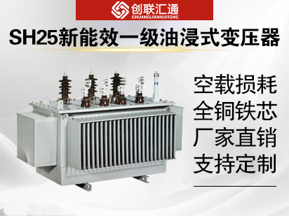 SH25新能效一级油浸式变压器